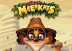 meet-the-meerkats