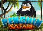 penguin-safari