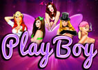 play-boy