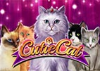 cutie-cat