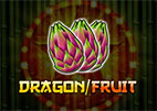 dragon-fruit