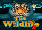 the-wildlife-2