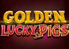 golden-lucky-pigs