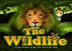 the-wildlife