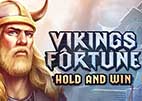 vikings-fortune-hold