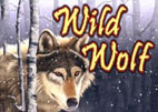 wild-wolf
