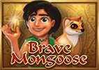bravemongoose