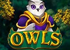 owls
