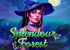 splendour-forest