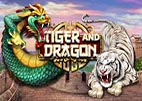tiger-dragon