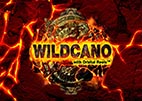 wildcano