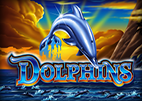 dolphins