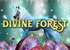 divine-forest