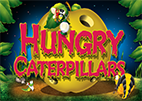 hungry-caterpillars