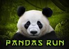 panda-run