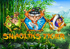 shaolin-tiger