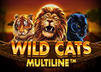 wild-cat