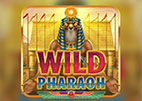wild-haraoh