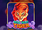 wild-wild-tiger