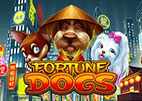 fortune-dogs