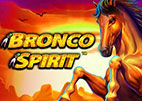 bronco-spirit