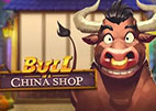 bull-in-a-china-shop