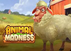 animal-madness
