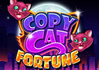 copy-cat-fortune