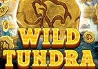 wild-tundra
